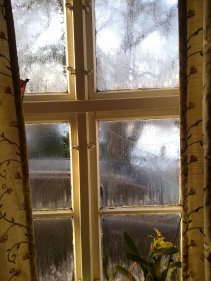 Das war einmal: Eisblumen am alten Fenster